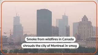 Wildfires shroud Montreal in smoke screenshot 5