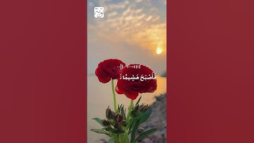 #سعد_الغامدي الآية 45 من سورة الكهف #الكهف_نور_مابين_الجمعتين