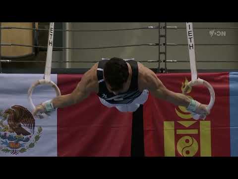 FIG Artistic Gymnastics