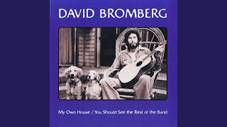 Video thumbnail of "David Bromberg Quartet - Cocaine Blues"