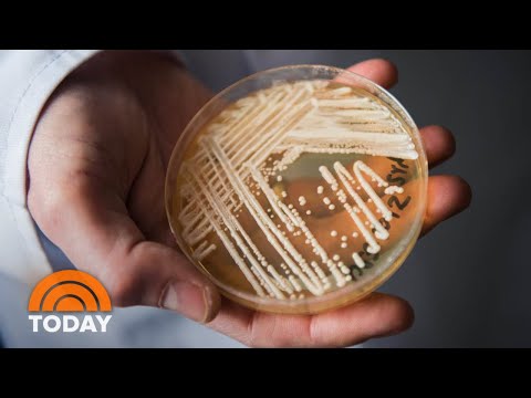 Deadly Super Fungus Spreading Across US: How To Avoid It | TODAY