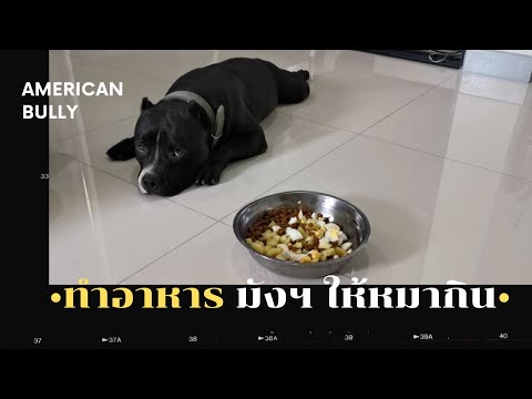 วีดีโอ: สุนัขของฉันกินกระดาษทิชชู่ทำไม?