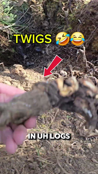 Finding a reefy gold nugget in another prospector's throwouts.. #goldfever #prospecting #gold #Gtnh