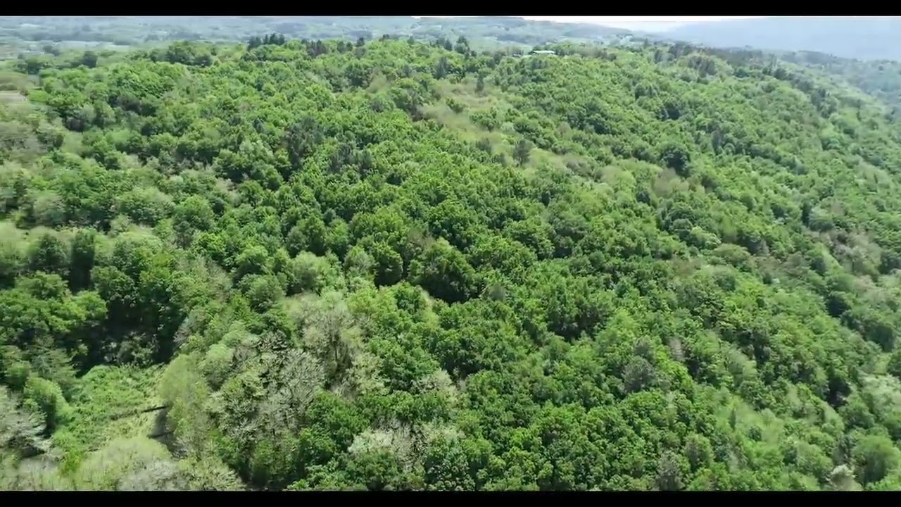 Conservación da capela de San Pedro de Cela (O Saviñao)