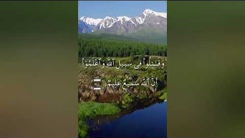 سورة البقرة صفحة ٣٩ مكتوبة مكررة بصوت عذب ونقي