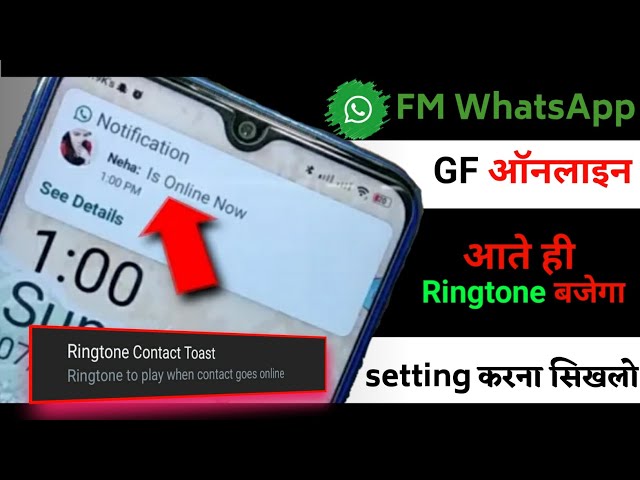 FM Whatsapp New Setting  , GF ऑनलाइन आते ही Ringtone बजेगा 😍❓ WhatsApp Online Notification class=