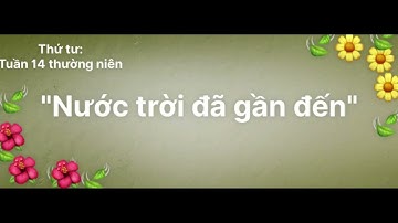 LỜI CHÚA THỨ TƯ TUẦN XIV THƯỜNG NIÊN.