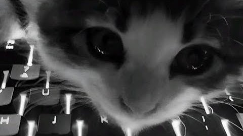 [SUB 13] Bob in 12.92