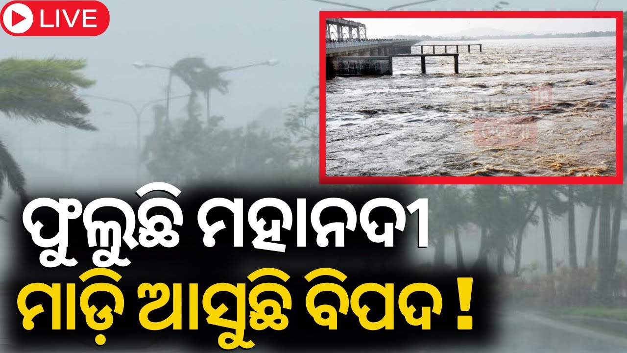 Live: ଫୁଲୁଛି ମହାନଦୀ,ମାଡ଼ି ଆସୁଛି ବିପଦ! Flood Alert In Mahanadi|Odisha Rain Alert|Low Pressure