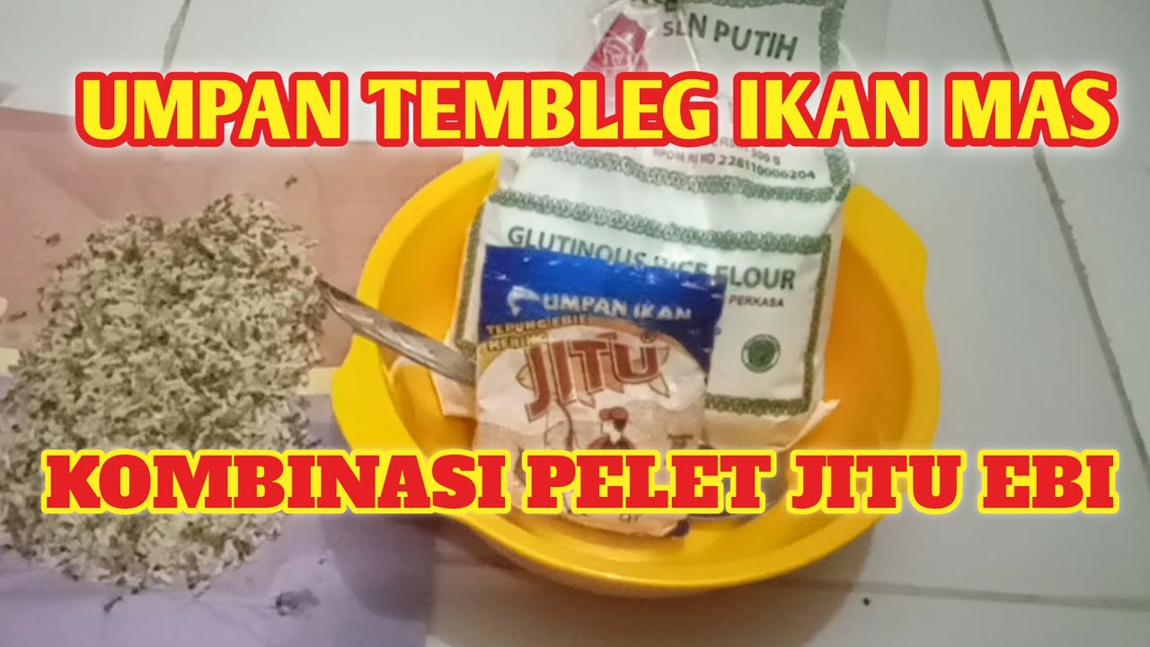 UMPAN TEMBLEG IKAN MAS HARIAN //umpan ikan mas tanpa essen