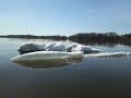 Приключения мамонтёнка на апрельской Волге