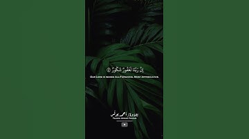 وقالوا الحمد لله الذي أذهب عنا الحزن إن ربنا لغفور شكور | القارئ: أحمد يونس