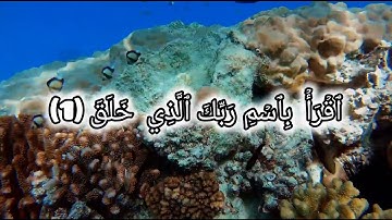 سورة العلق بصوت القارىء خالد الجليل ٠راحة نفسية❤