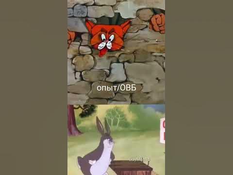 кот Леопольд (озверин ) против большого пухлик - YouTube