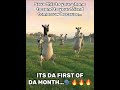 WAKE UP ITS THE FIRST OF THE MONTH #fypシ #fyp