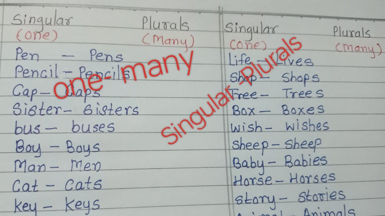 Singular plurals words,one-many,English Grammar for std 5th to 10 - YouTube
