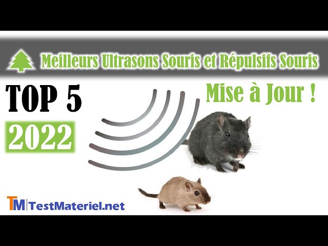 Anti-rats et anti-souris à ultrason