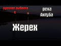 Русская рыбалка 4(рр4/rf4) - река Ахтуба. Жерех.