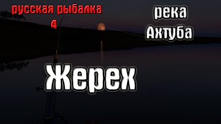 Русская рыбалка 4(рр4/rf4) - река Ахтуба. Жерех.