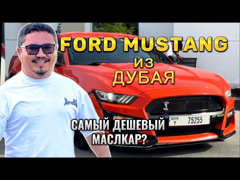 FORD MUSTANG ИЗ ДУБАЯ // САМЫЙ ДЕШЕВЫЙ МАСЛКАР?
