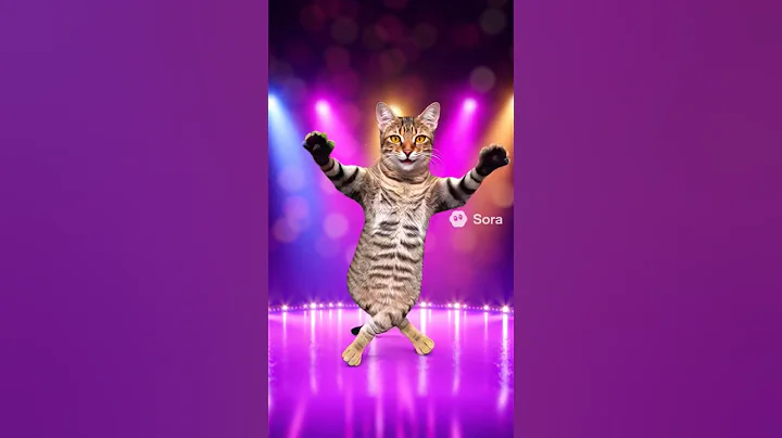 Video 11885201: cat funny dance, kitten dance