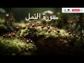 سورة النمل بصوت القارئ عبدالرحمن مسعد   