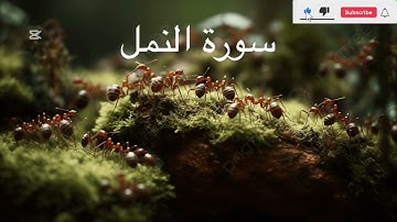 سورة النمل بصوت القارئ عبدالرحمن مسعد Surah Al Naml