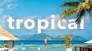 🐚 Chill Tropical Vlog No Copyright Sunny Travel Paradise Background Music | Secret Island by Aylex screenshot 2