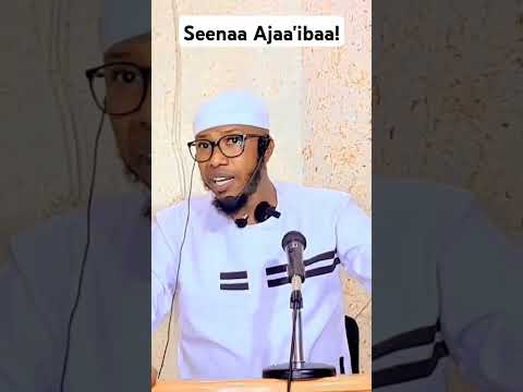 Yeroo Gara Rabbii Nama Yaamnu Dubbii Namaaf Laaffisuu Dha Subscribe Hakimhassen34 Shorts Jzkl