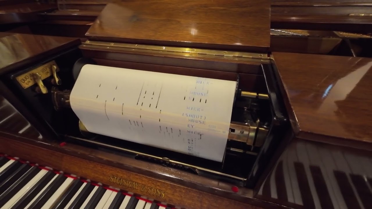 スタインウェイ・デュオ-アート・グランドピアノ「星に願いを/ミッキーマウス・マーチ/It's a Small World」