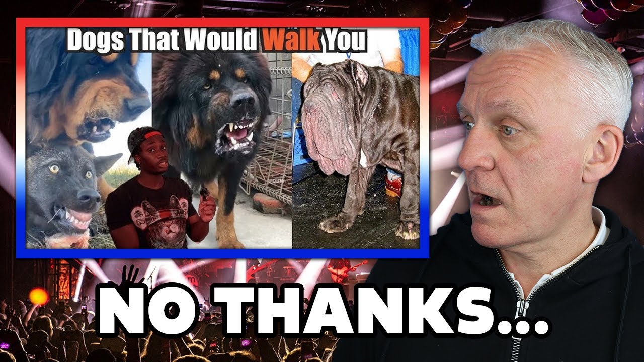 Dogs That Will Send You to DOG Backwards REACTION | OFFICE BLOKES REACT!!