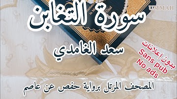 سورة التغابن الشيخ سعد الغامدي | Sheikh Saad El Ghamidi Surah At-Taghabun