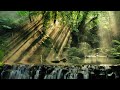 2022 new dramatic relaxing music with nature background 4k for stress relief nature love a26