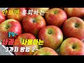 간단하고 맛있는 제철 사과 요리 3가지 꿀팁 강쉪  korean food recipes 3 kinds apple cooking recipes 돼지고기사과조림 사과스프 사과크럼블파이