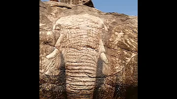 Reteti Elephant Sanctuary Trip 
