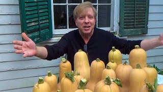 How to Harvest and Store Butternut Squash