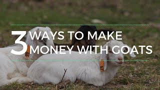 There are multiple ways you can make money raising goats on your
property. today i talk about my top 3 that think a profit with goats.
ke...