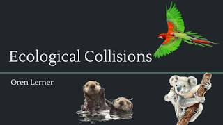 Individual Research Project 1: Ecological Collisions