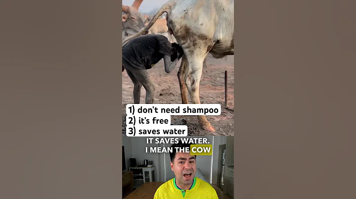 Bathing in cow urine 🐄