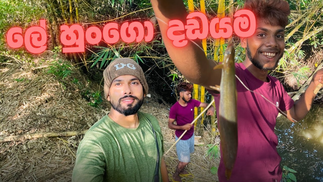 ලේ හුංගො දඩයම 🐟🦈🐊🌾 😱😰🫨@Kavishkadilshanwijayarathna