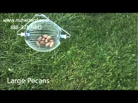 Medium Nut Wizard® Tool (Pecans, English Walnuts, Golf Balls, and More)