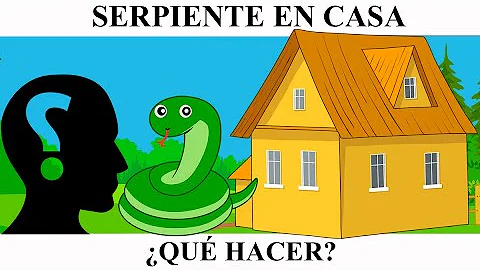 ¿Qué sacará a una serpiente de su escondite?