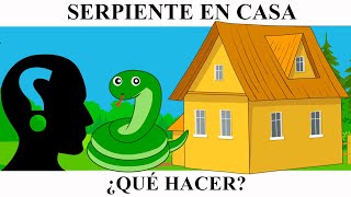 ¡SERPIENTE EN CASA! ¿QUÉ HACER?