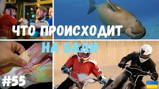 Что происходит на Бали? #55 #балисейчас #балиновости