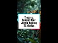 Tiger Vs Sambar Deer Jungle Hunting Strategies Tiger Vs Sambar Deer Jungle Hunting Strategies