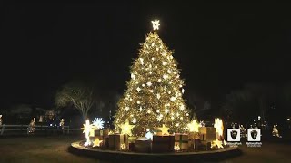 WATCH: Biden speaks at the National Tree Lighting