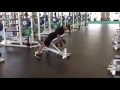 Bench pull   db alt  ext