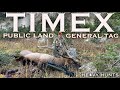 WYOMING BULL DOWN! | 4K | PUBLIC LAND ELK HUNT | GENERAL TAG | BOW & RIFLE |