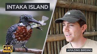 Intaka Island - One of South Africa's best birding destinations.