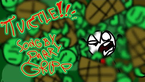 Turtle (original song by parry gripp)